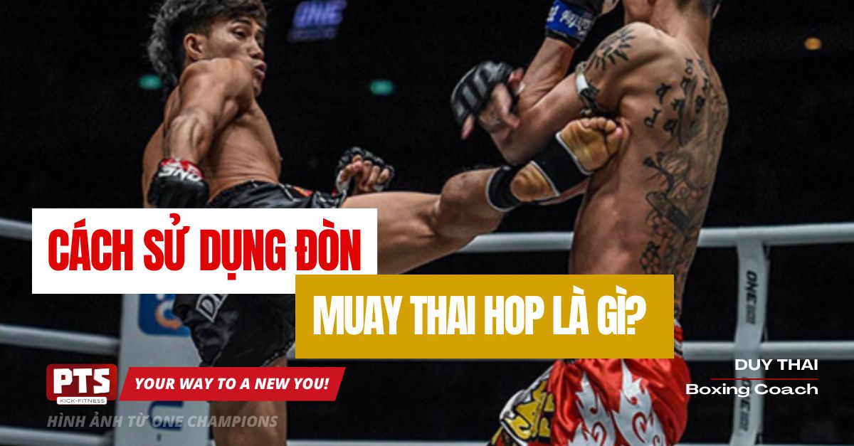 Cú Đá Nhảy Thai Hop Là Gì Và Cách Sử Dụng Trong Muay Thái