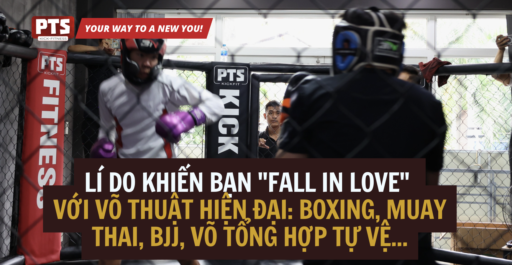 Reasons Why You "Fall In Love" With Modern Martial Arts: Boxing, Muay Thai, BJJ, Mixed Martial Arts Self-Defense...
